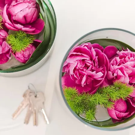 招待所 Nikis Collection Navona 4*