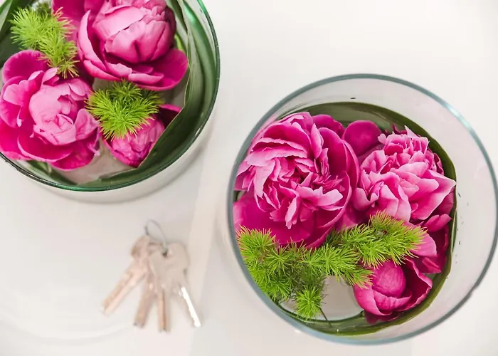 Casa de hóspedes Nikis Collection Navona 4*